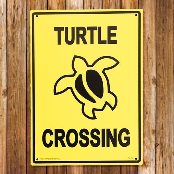 vX`bNTC{[h E~KɒӁI TURTLE CROSSING CA-71 jOCeA bZ[W AJG