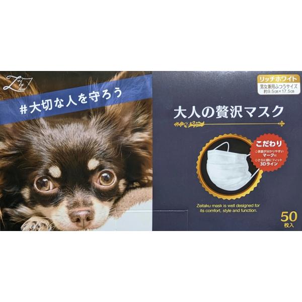 大人の贅沢マスク 50枚 4個セット 200枚 不織布マスク