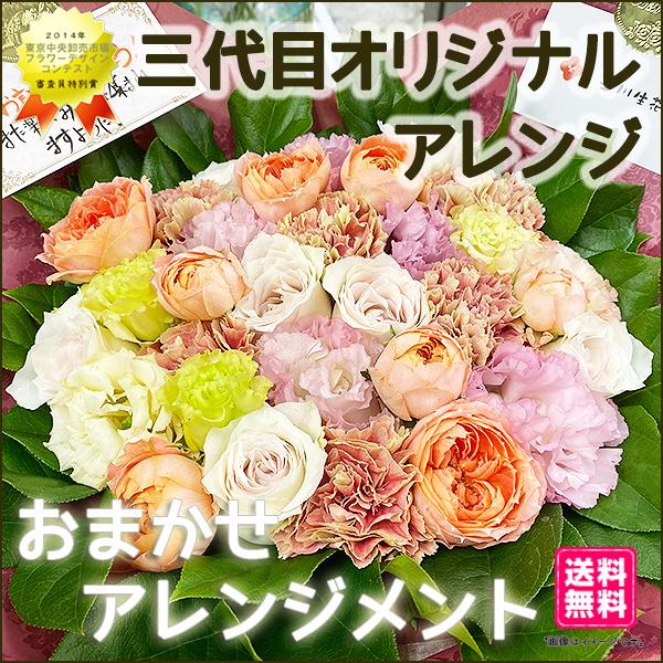 jԁEL j LO JX J I[v  ܂ AW X^_[h