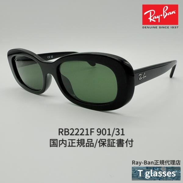 t-glasses_rb2221f-901-31