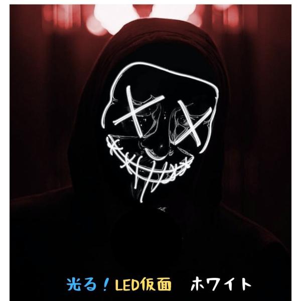 t-jirou_catandzakka-e