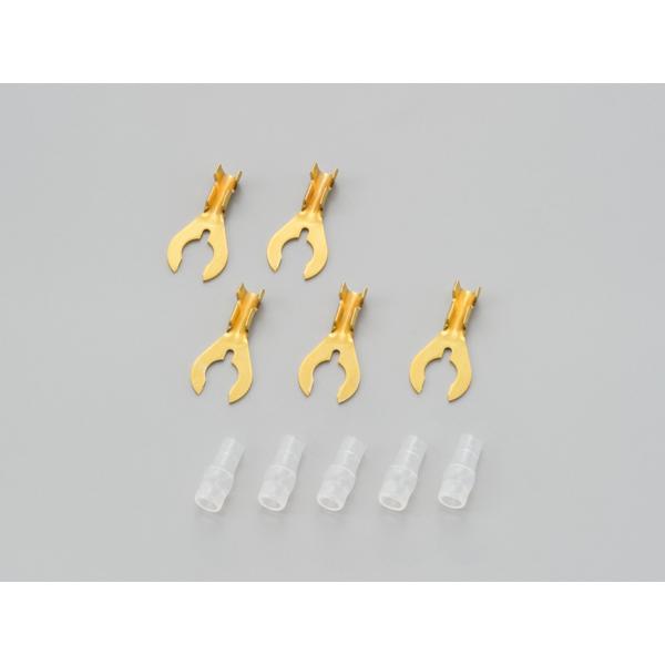 DAYTONA (fCgi) N^[q LE106 (Zbg)6 41231