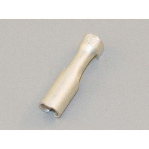 DAYTONA (fCgi) M{V[q CA/CB104^ (X)  70797