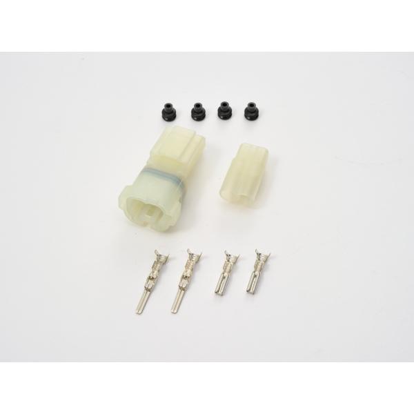 DAYTONA (fCgi) HMhRlN^[Zbg 2 96176