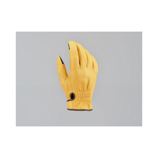 DAYTONA (fCgi)  HBG-037 DKJbgV[g@L@M 96818