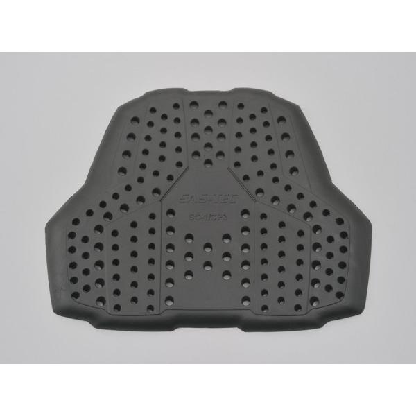 DAYTONA (fCgi) SAS-TEC veN^[ CP-3 p`O@@  99172