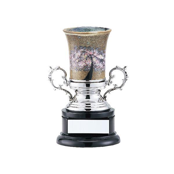 DJbvEZNA-406Ci95×225mmj@302