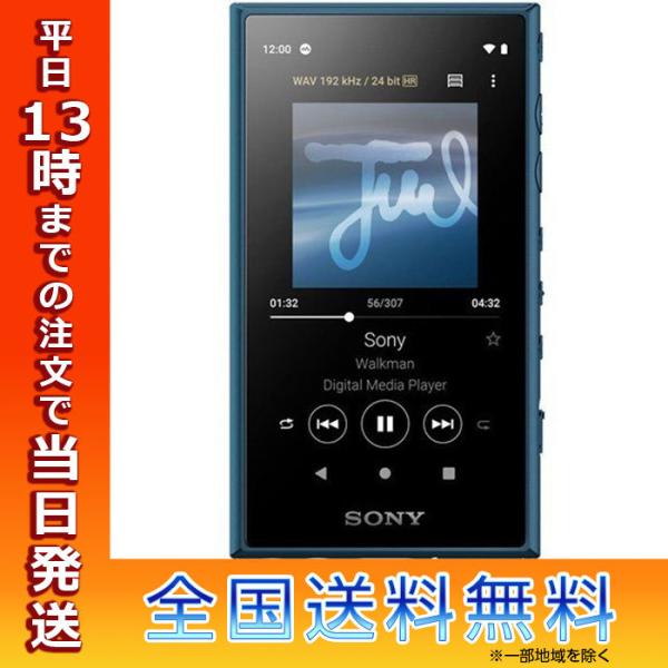 SONY ウォークマン Aシリーズ NW-A107(L) SONY ソニー デジタルオーディオプレーヤー ウォークマン