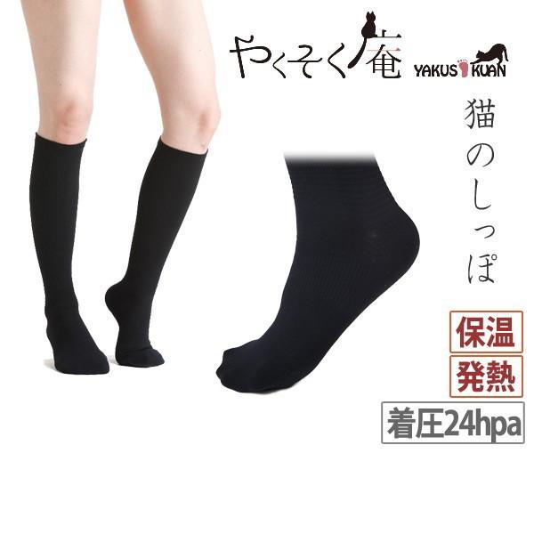 y40OFFZ[z nC\bNX  fB[X ₭ 