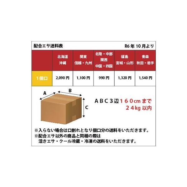 t-port_02-20030_3_d_20240925155509