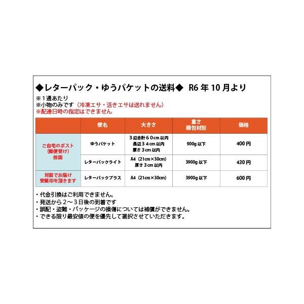 t-port_02-20035_2_d_20240925155247