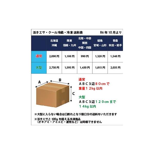 t-port_850045_2_d_20240925145328