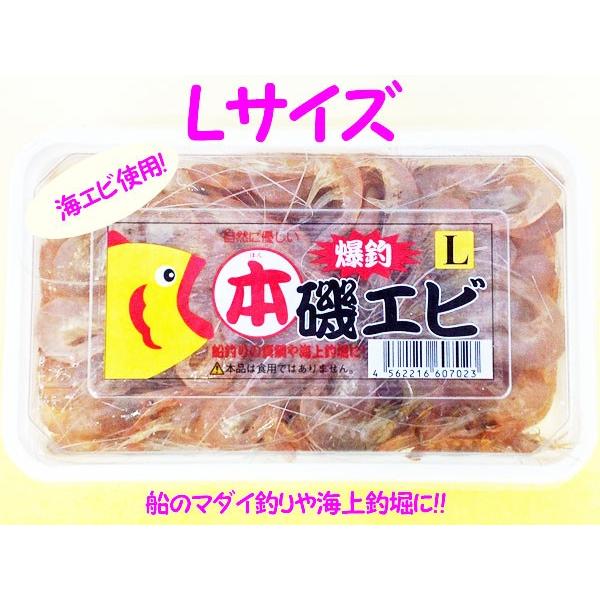冷凍エサ オリジナル 爆釣本磯エビ L ポイント全額払い不可 L Ce00o フィッシングショップtポート 通販 Yahoo ショッピング