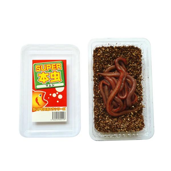 502 スーパー本虫 マムシ 驚異的な生命力 完全養殖 ポイント全額払い不可 Buyee Buyee 提供一站式最全面最專業現地yahoo Japan拍賣代bid代拍代購服務 Bot Online