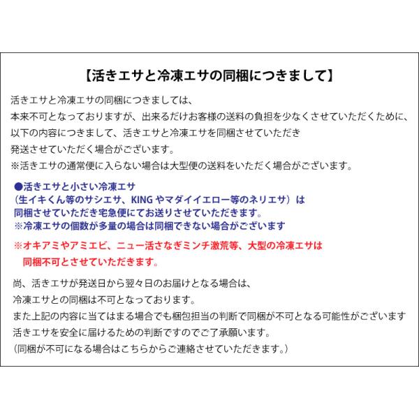 スーパー青虫 青イソメ 1ｋｇ 超お得 完全養殖 ポイント全額払い不可 Buyee Buyee Japanese Proxy Service Buy From Japan Bot Online