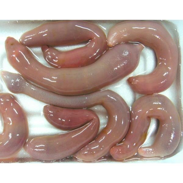 600 ユムシ 10匹単位 約2 5cm 釣り餌 カレイ ヒラメ 鯛 アイナメ ポイント全額払い不可 Jin フィッシングショップtポート 通販 Yahoo ショッピング