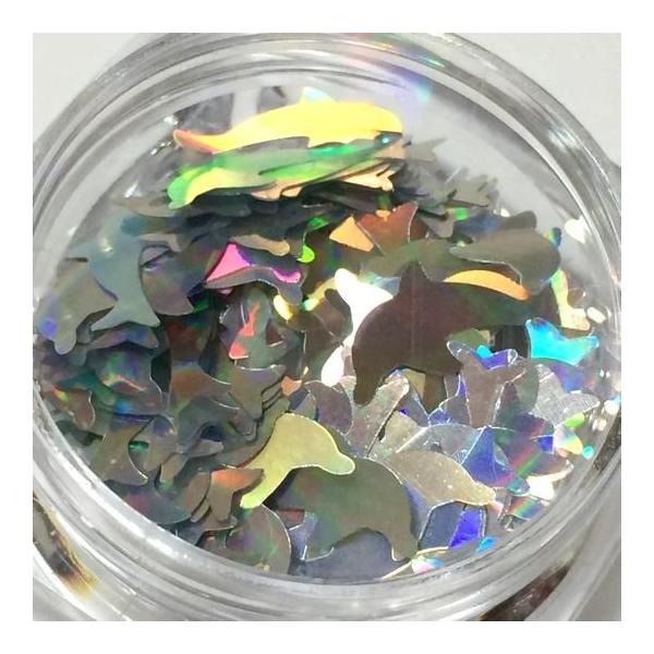 イルカのホログラムA/オーロラ/シルバー/海豚/ネイル/レジン封入