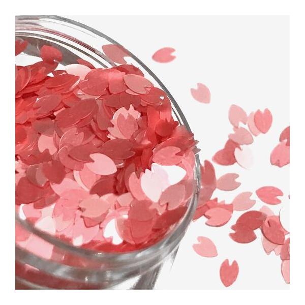 桜の花びらのホログラムA ピンク 約1g 2色 カラーミックス 半透明 ネイル レジン封入 チェリーブロッサム 春モチーフ フラワー 花弁 パーツ