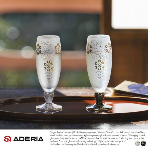 CD̂߂ COX V[gXeOX { a ԕ ADERIA ݂J 