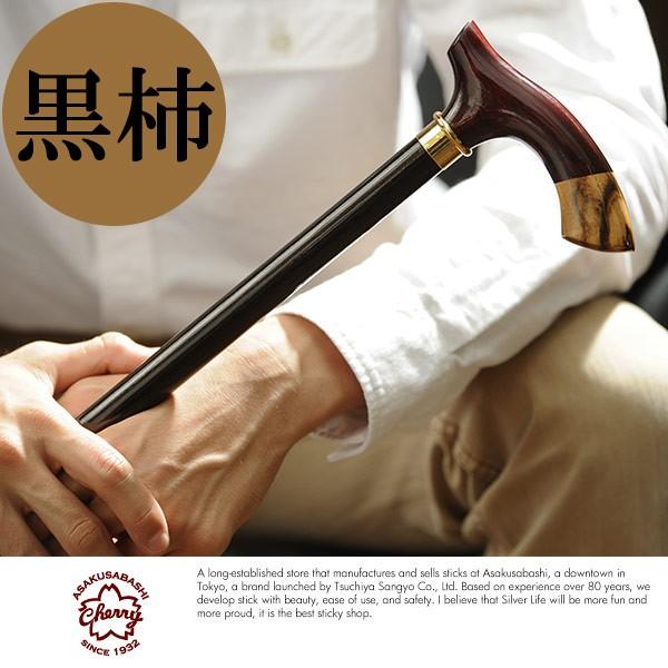 XebL    Cherry Mountain XebL  `bvnh ~×`  Y  {