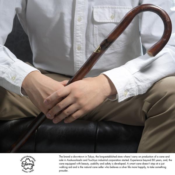 Cherry Mountain ȃXebL  `FXgibc  Y _o G֐ߒ s⏕