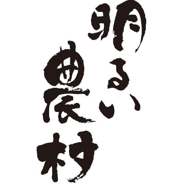 明るい農村 縦書 書道家が書くかっこいい漢字tシャツ T Kanji A Akaruinoson Tate T Time せとうち広告 通販 Yahoo ショッピング
