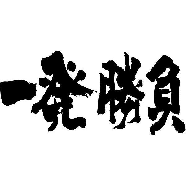 一発勝負(横書)