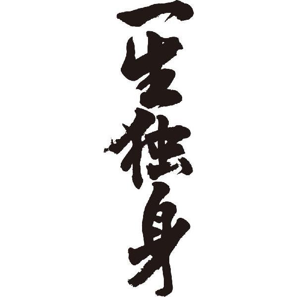 一生独身 縦書 書道家が書くかっこいい漢字tシャツ T Kanji A Isshoudokushin Tate T Time せとうち広告 通販 Yahoo ショッピング