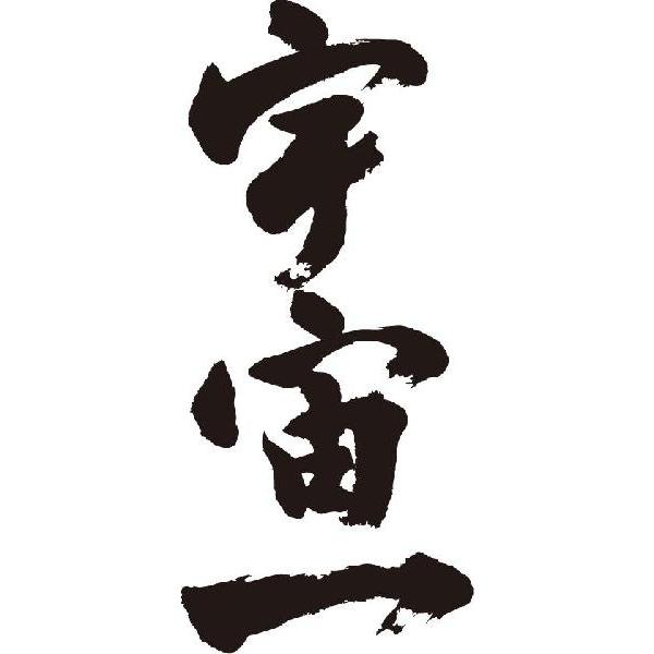 宇宙一 縦書 書道家が書くかっこいい漢字tシャツ T Kanji A Uchuichi Tate T Time せとうち広告 通販 Yahoo ショッピング