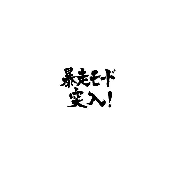 暴走モード 突入!(横書)”書道家が書くかっこいい漢字Tシャツ 暴走モード 突入!(横書)”書道家が書くかっこいい漢字Tシャツ
