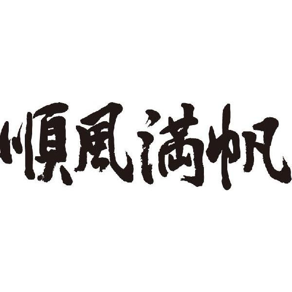 順風満帆 横書 書道家が書くかっこいい漢字tシャツ Buyee Buyee Japanischer Proxy Service Kaufen Sie Aus Japan