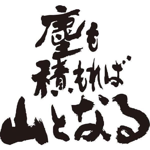 塵も積もれば山となる(横書)