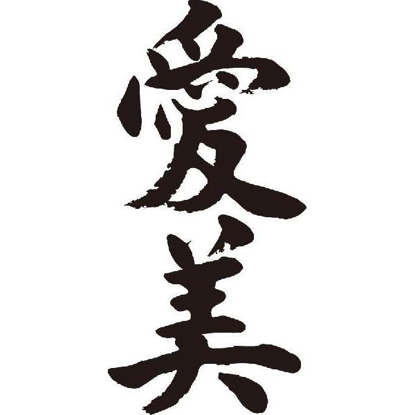 愛美 縦書 書道家が書くかっこいい漢字トレーナー Tl Kanji A Aimi Tate T Time せとうち広告 通販 Yahoo ショッピング