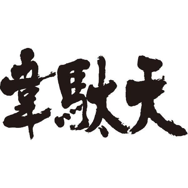 韋駄天 横書 書道家が書くかっこいい漢字トレーナー Tl Kanji A Idaten Yoko T Time せとうち広告 通販 Yahoo ショッピング