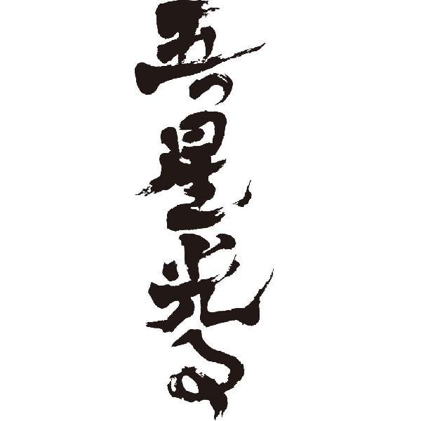五つ星光る 縦書 書道家が書くかっこいい漢字トレーナー Tl Kanji A Itsutsuboshi Tate T Time せとうち広告 通販 Yahoo ショッピング