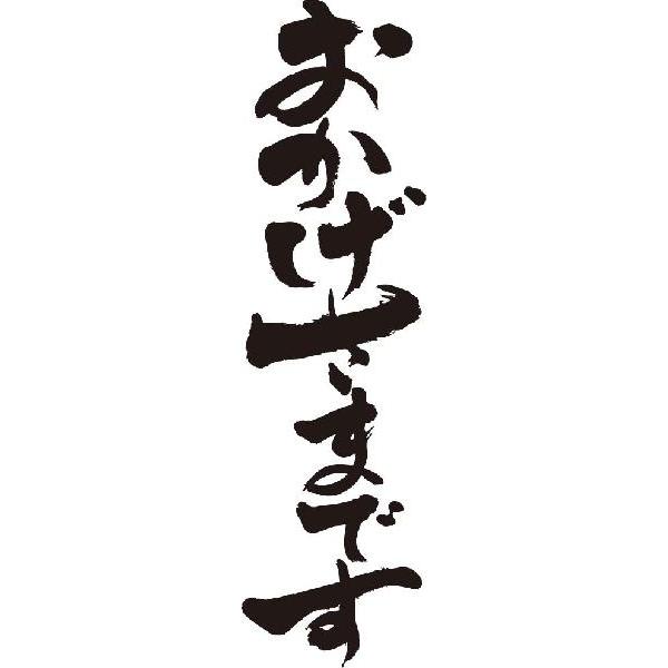 おかげさまです 縦書 書道家が書くかっこいい漢字トレーナー Tl Kanji A Okagesamadesu Tate T Time せとうち広告 通販 Yahoo ショッピング