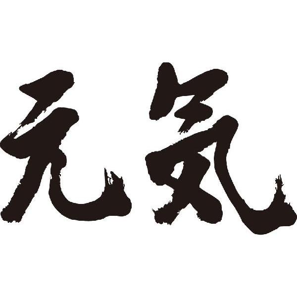 御用聞き 横書 書道家が書くかっこいい漢字トレーナー 5gqiiocvjz Cosbrapim Com Br