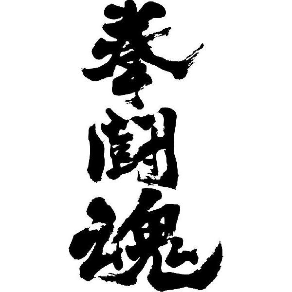拳闘魂 縦書 書道家が書くかっこいい漢字トレーナー Tl Kanji Ka Kentoudamashii Tate T Time せとうち広告 通販 Yahoo ショッピング