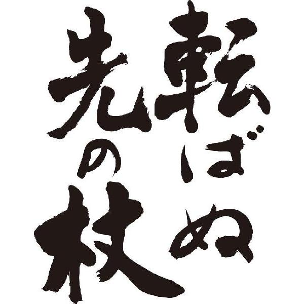 転ばぬ先の杖 縦書 書道家が書くかっこいい漢字トレーナー Tl Kanji Ka Korobanusaki Tate T Time せとうち広告 通販 Yahoo ショッピング