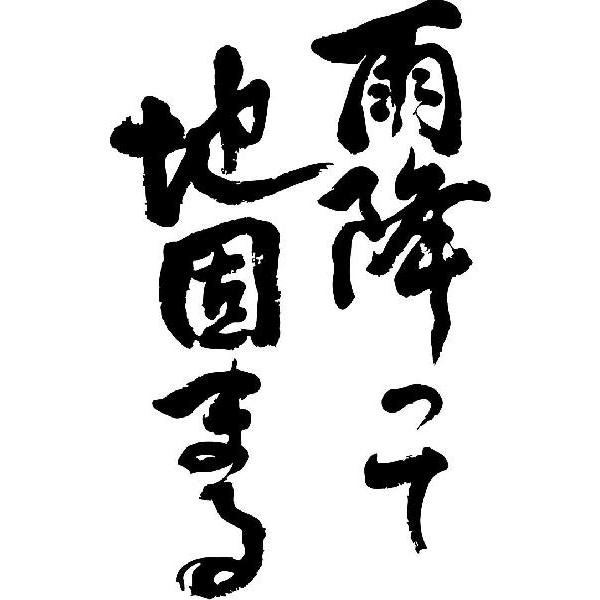 雨降って地固まる 縦書 書道家が書くかっこいい漢字トレーナー Tl Kanji Koto Amehutte Tate T Time せとうち広告 通販 Yahoo ショッピング