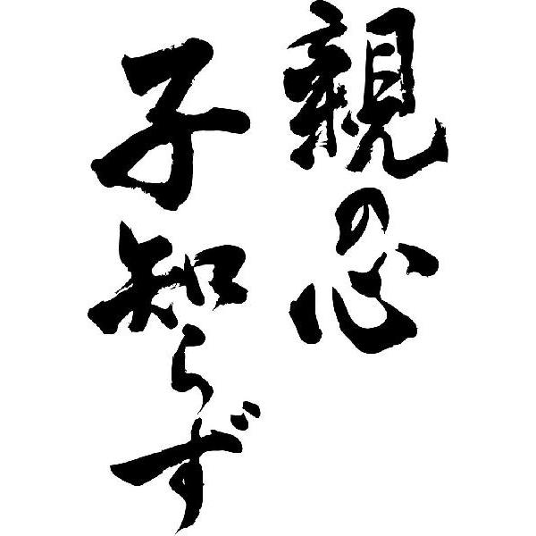 親の心子知らず 縦書 書道家が書くかっこいい漢字トレーナー Tl Kanji Koto Oyanokokorokoshirazu Tate T Time せとうち広告 通販 Yahoo ショッピング