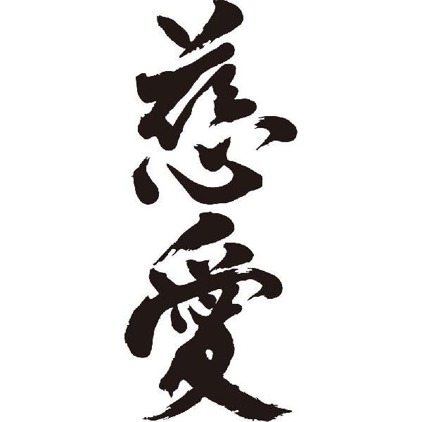 慈愛 縦書 書道家が書くかっこいい漢字トレーナー Tl Kanji Sa Jiai Tate T Time せとうち広告 通販 Yahoo ショッピング