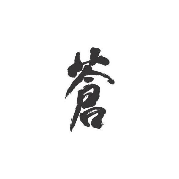 蒼 書道家が書くかっこいい漢字トレーナー Buyee Buyee 日本の通販商品 オークションの代理入札 代理購入