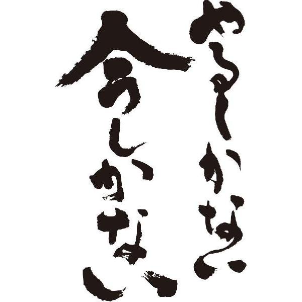 やるしかない今しかない 縦書 書道家が書くかっこいい漢字トレーナー Tl Kanji Ya Imayarushika Tate T Time せとうち広告 通販 Yahoo ショッピング