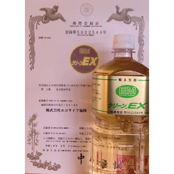 クリーンEX【1リットル】