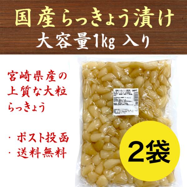 らっきょう 1kg 国産 無添加 甘酢漬 送料無料 九州産 宮崎 漬物 大容量 業務用 らっきょ らっきょう漬け らっきょう甘酢漬け