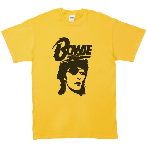 david bowie ビンテージ Tシャツ バンドTシャツ デビッド ボウイ t1500_y-zxc389