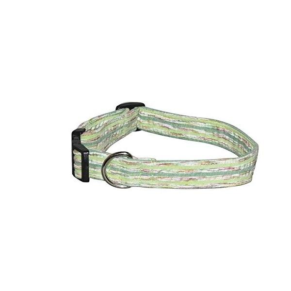 Elmo S Closet Lime Zest Dog Collar エクストラ ラージ 海外取寄せ