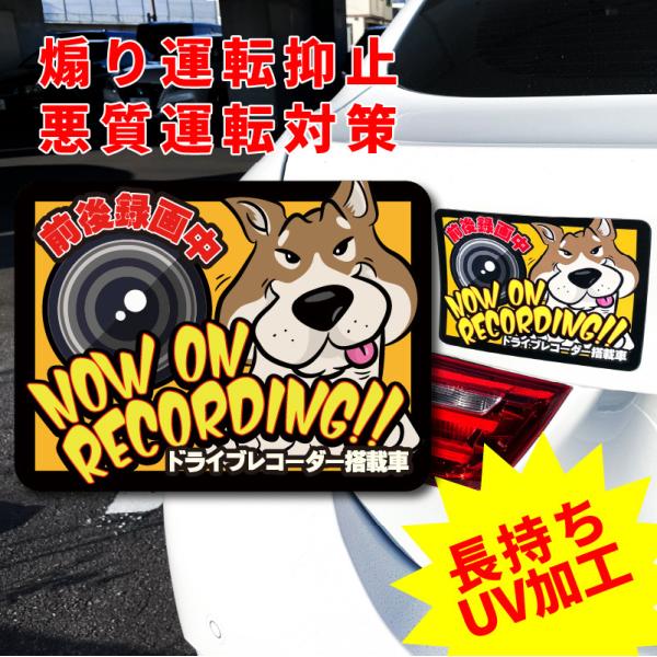 hCuR[_[ XebJ[ }Olbg  Č  Ԏ 킢  JbRCC AJ |bv hR  ^] }~ IWi