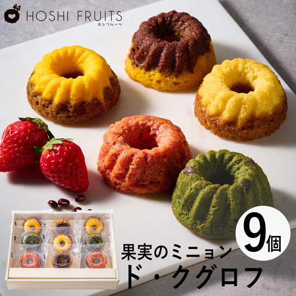ホシフルーツ 果実のミニョン・ド・クグロフ 9個 HFX-03A 個別送料込み